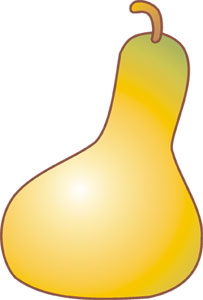 Drawing of a yellow squash